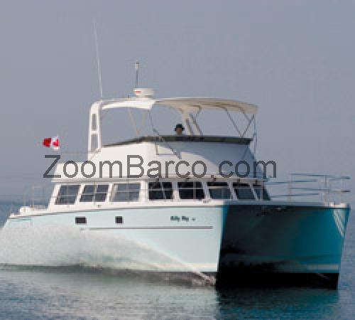 PDQ 41 ficha tecnica